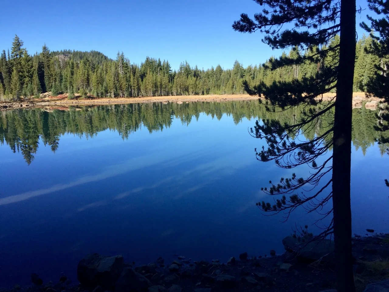 Pacific Crest Trail — Santiam Pass to Elk Lake Resort: Day 3

Daily Summary
  September 29
Day
  03
Start
  Near Mesa Springs mile 1960
Finish
  Elk Lake Resort
Today&rsquo;s Miles
  11.3
Trip Time
  04:22:06
Moving Average
  3.1 mph
Speed Max
  4.6…