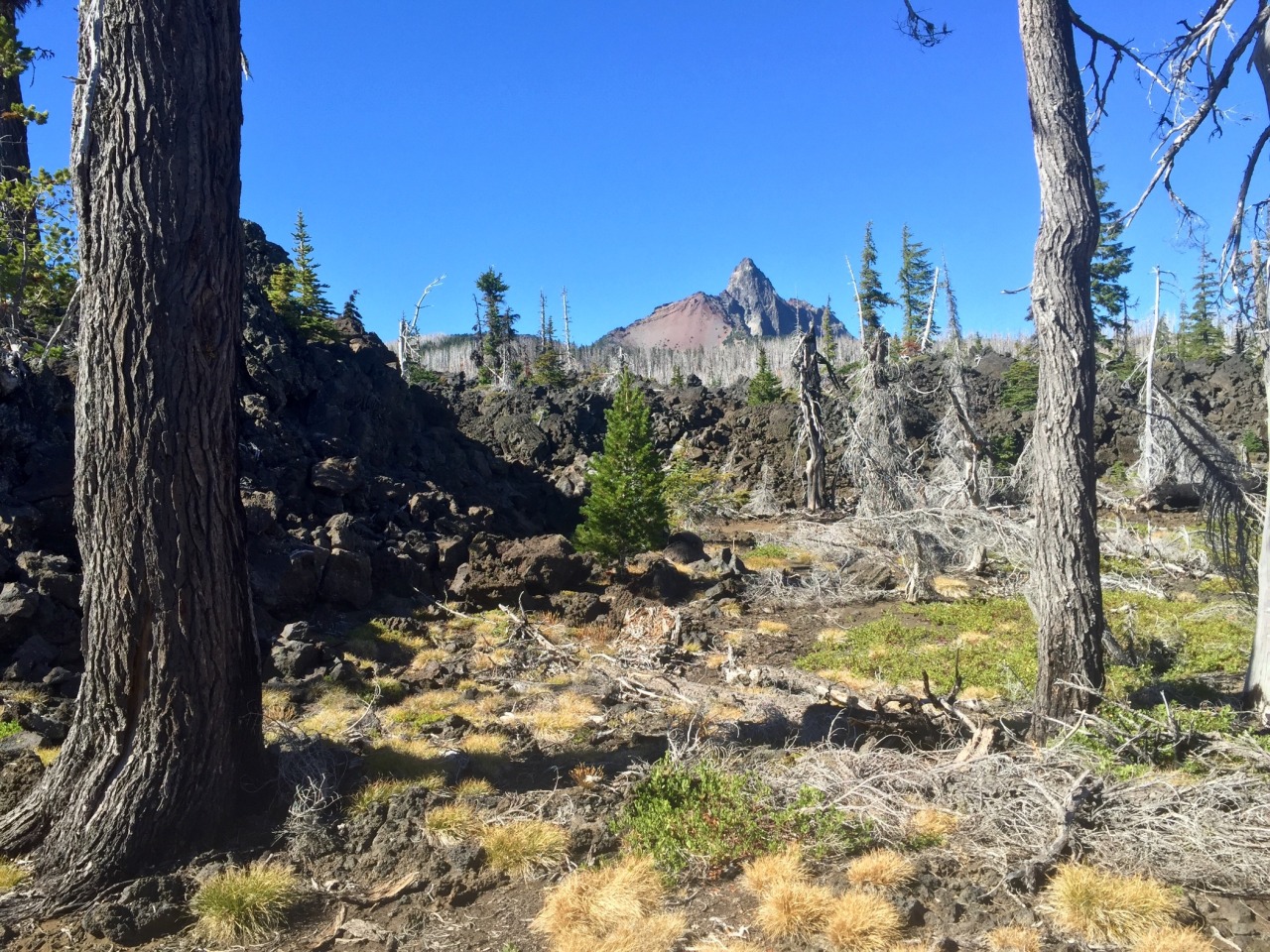 Lava field in the foreground and Mt. Washington in the background

via https://dayone.me/2cswzBR