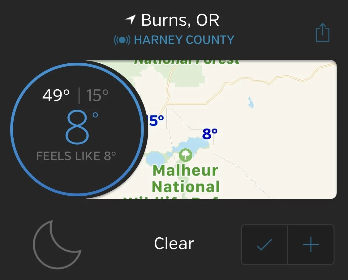 Official morning temperature. We survived.