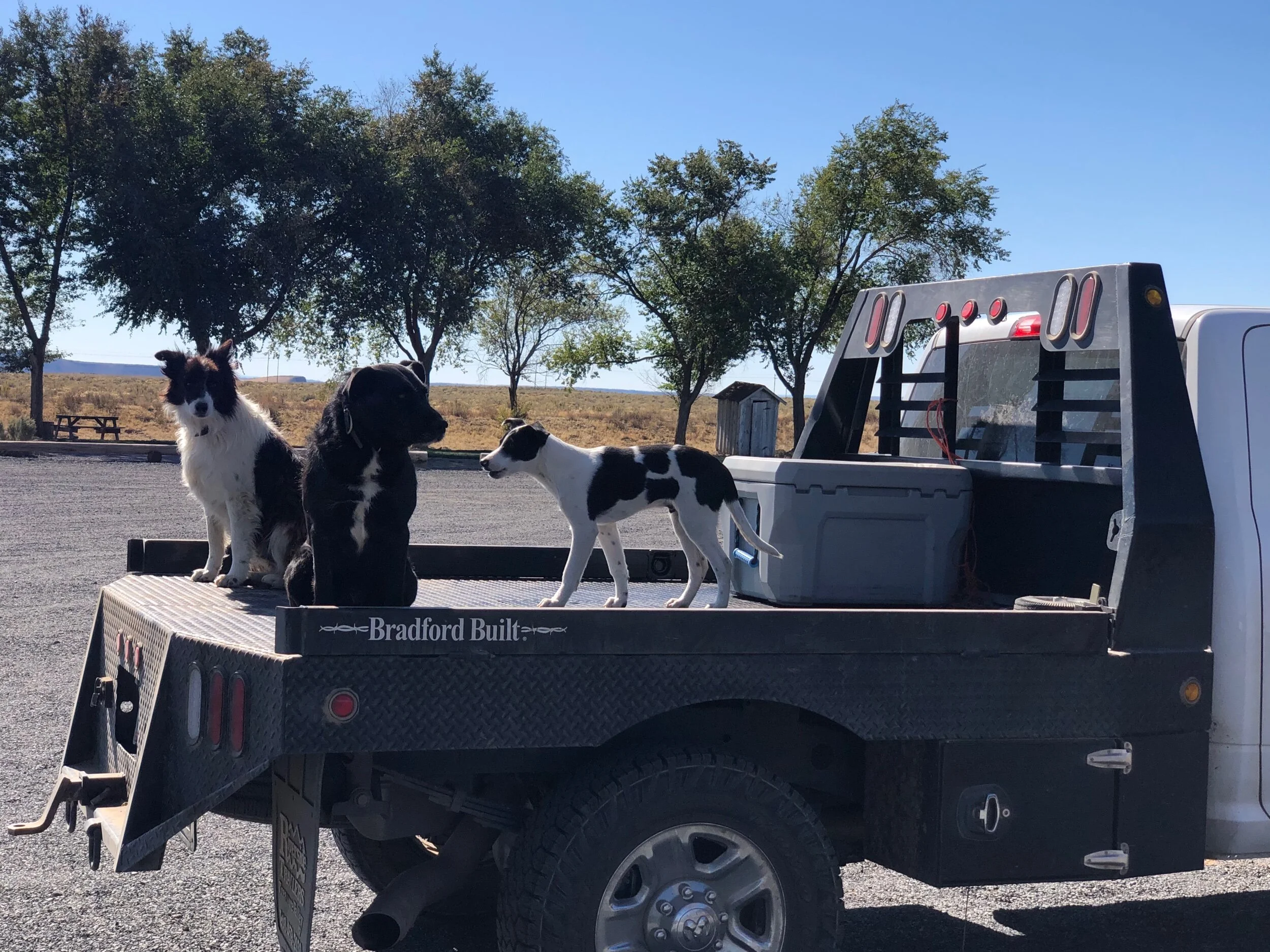 These guys cracked us up on our gas stop.