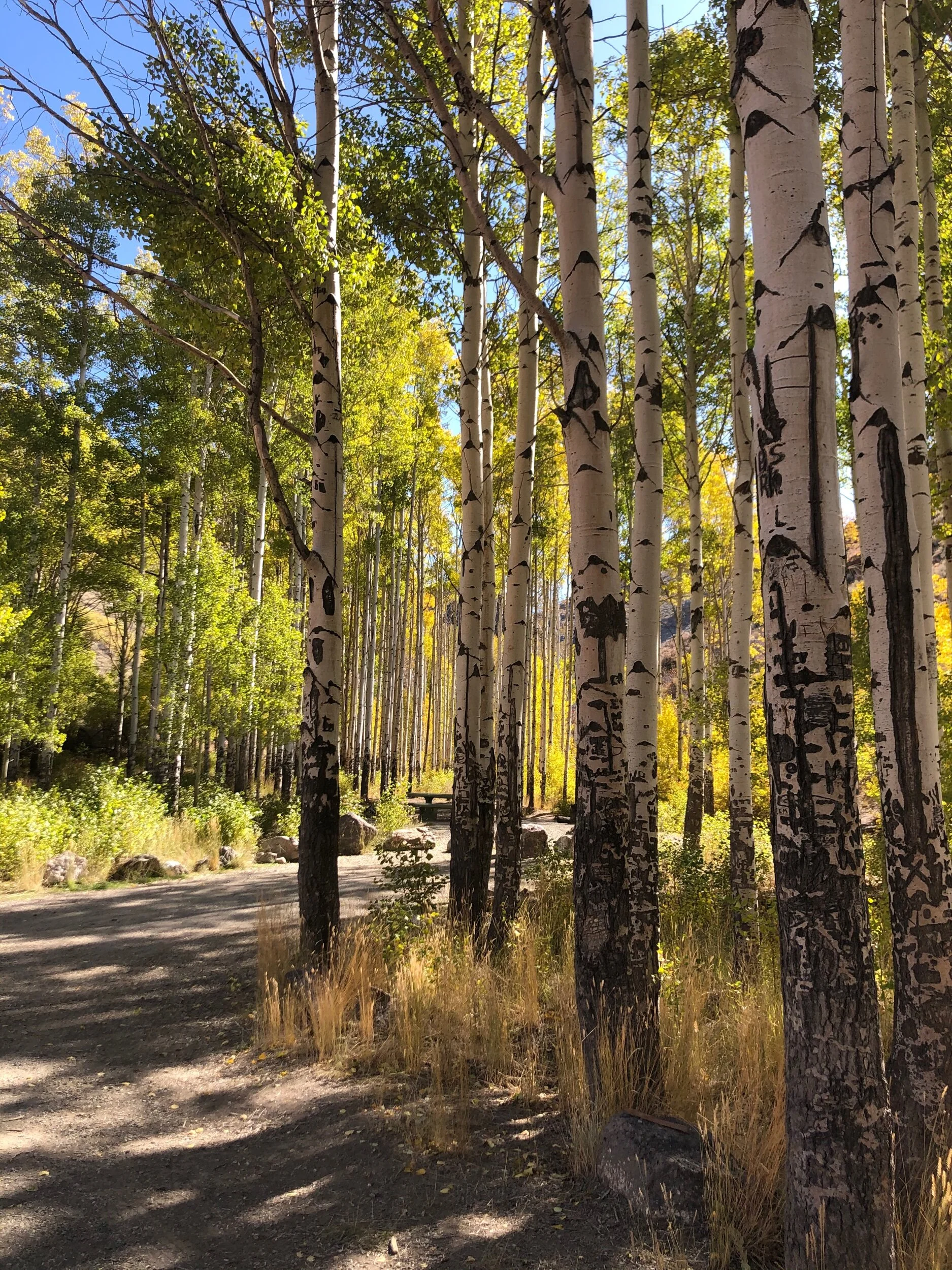 Water Canyon Recreation Area