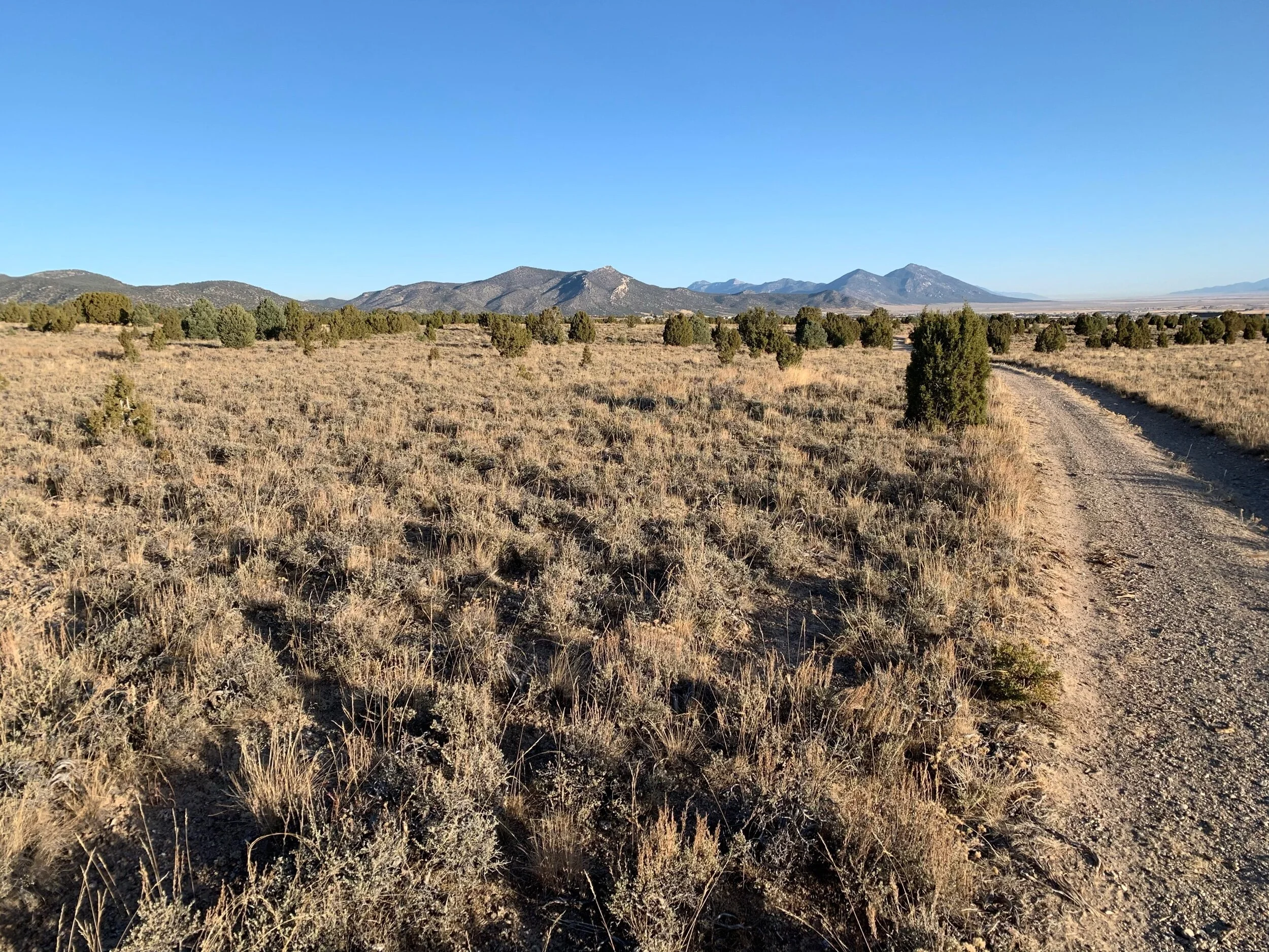 View from Ross’s morning bike ride in Ely.