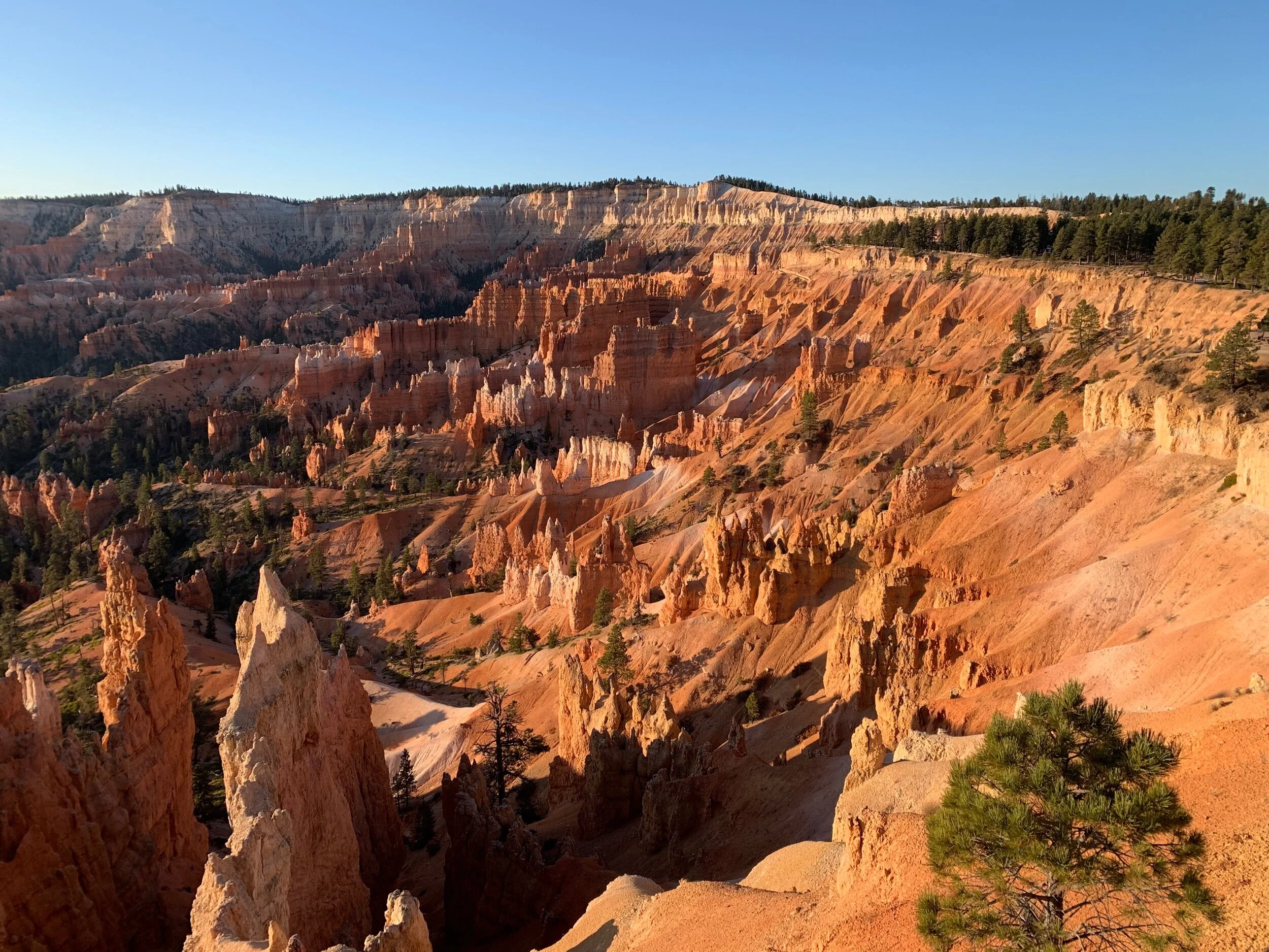 Bryce Canyon Amphitheater