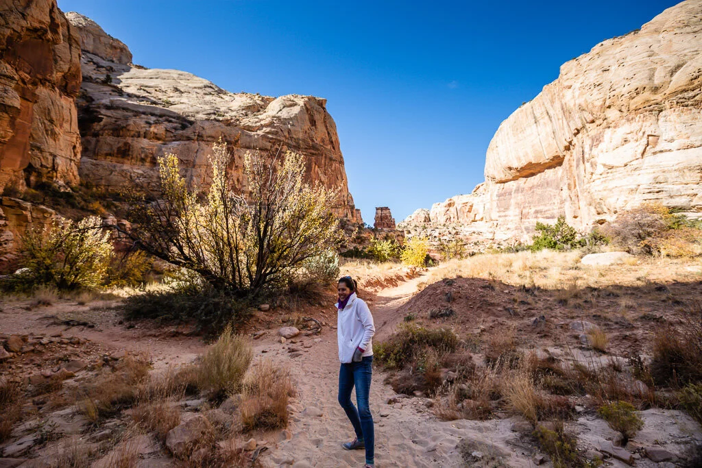 20191024_CAPITOL_REEF_154.jpeg