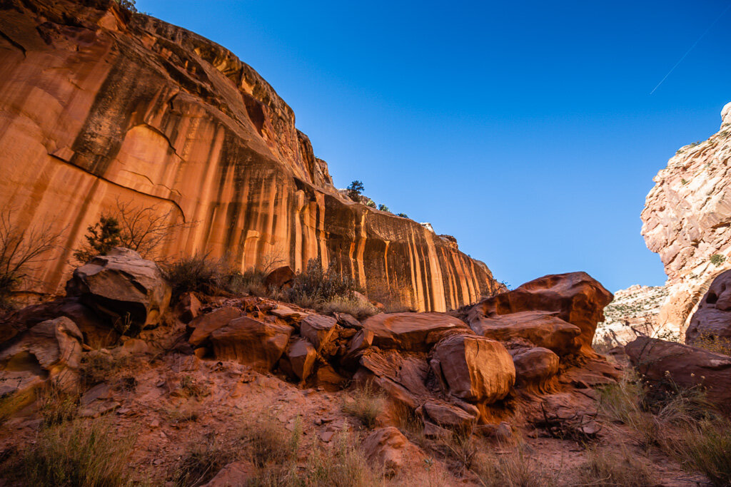 20191024_CAPITOL_REEF_150.jpeg