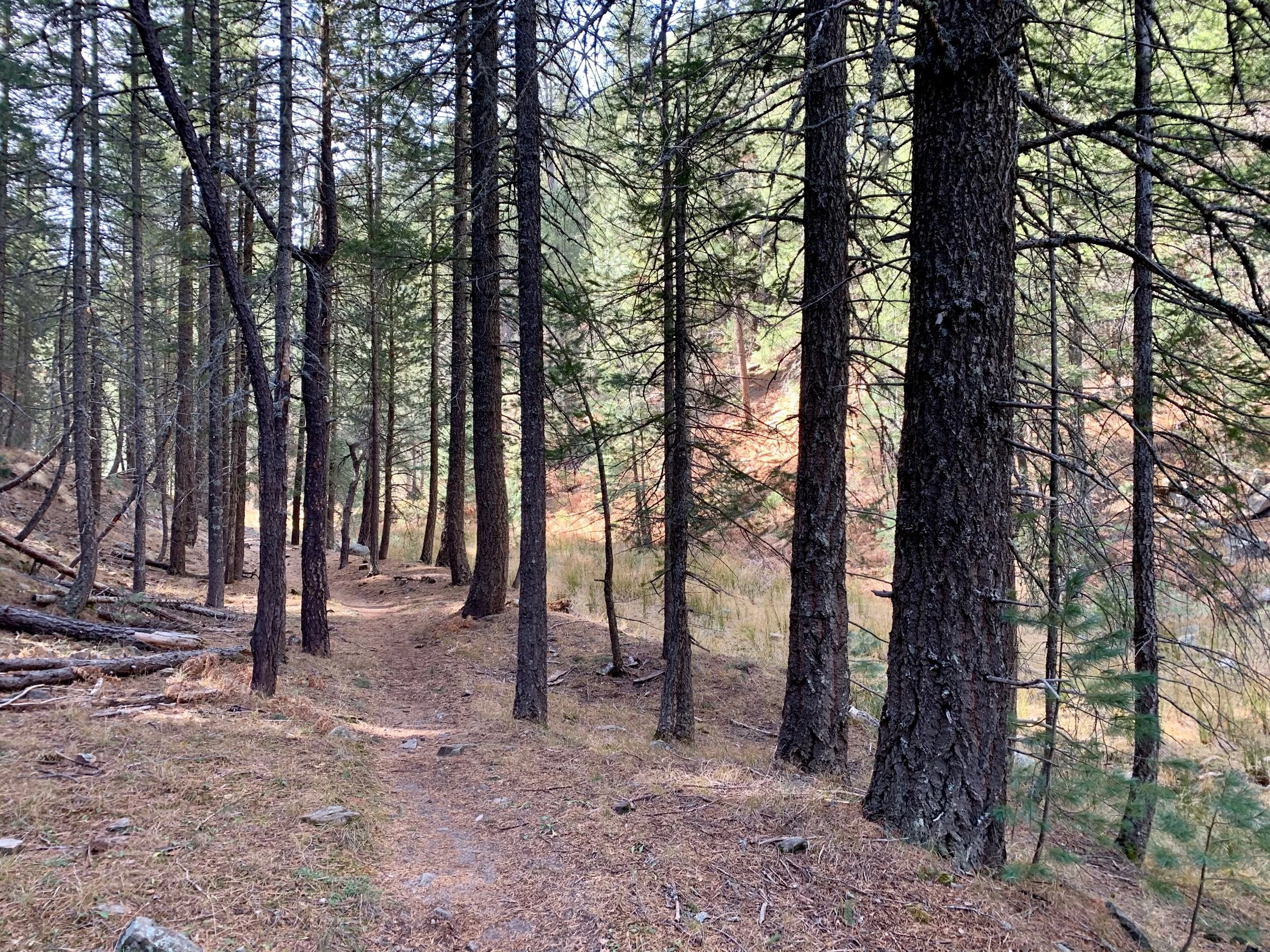 I rode a small sliver of the Arizona Trail.