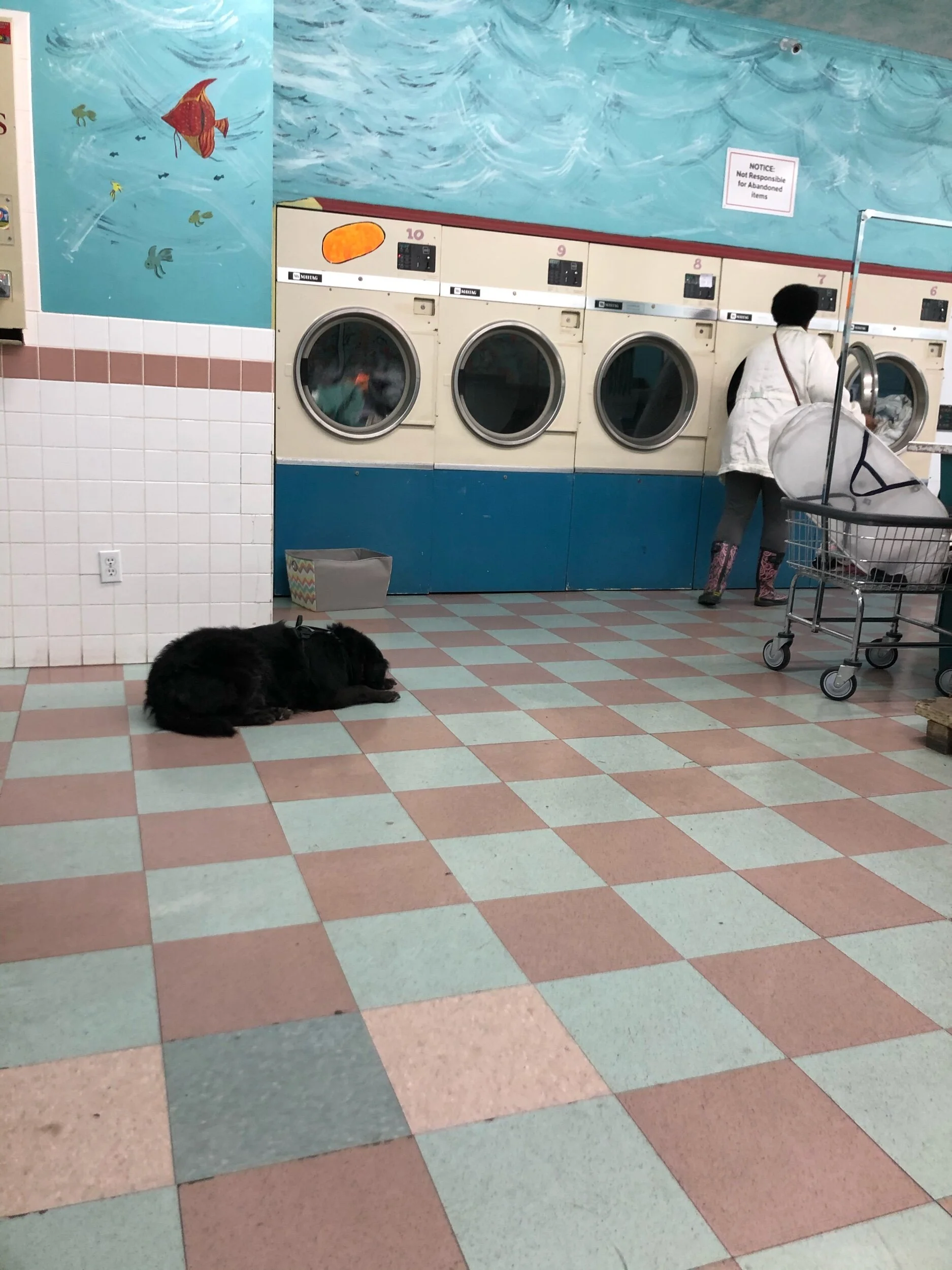 IMG_5522.jpeg