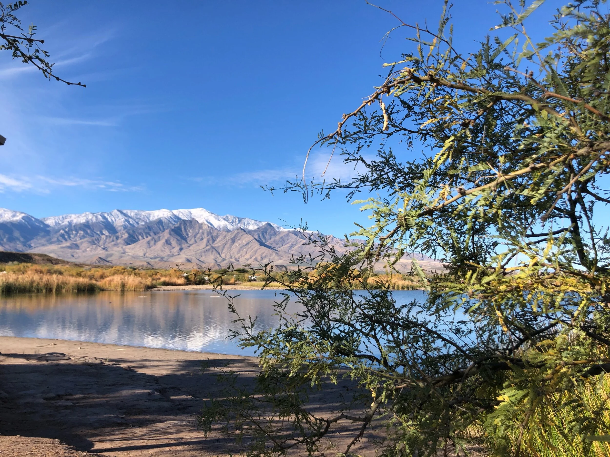 From one of Robin’s runs at Roper Lake State Park, in Safford.