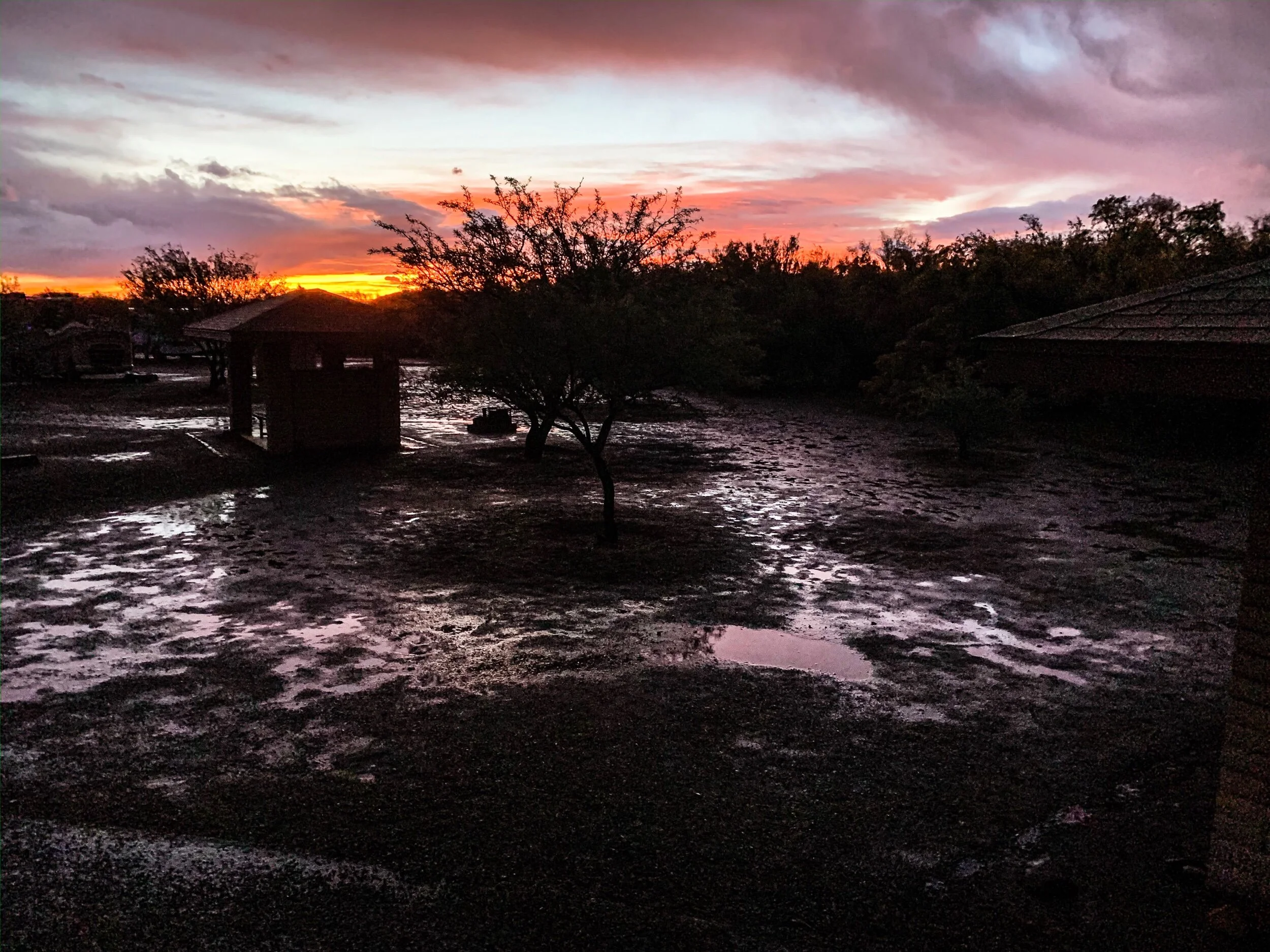 We were treated to this brief but beautiful sunrise between rain showers at Roper Lake State Park.