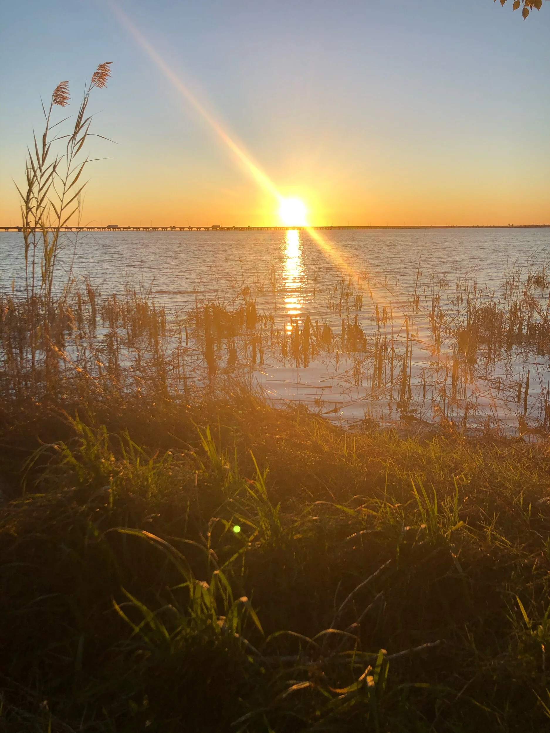 Sunset at Meaher State Park
