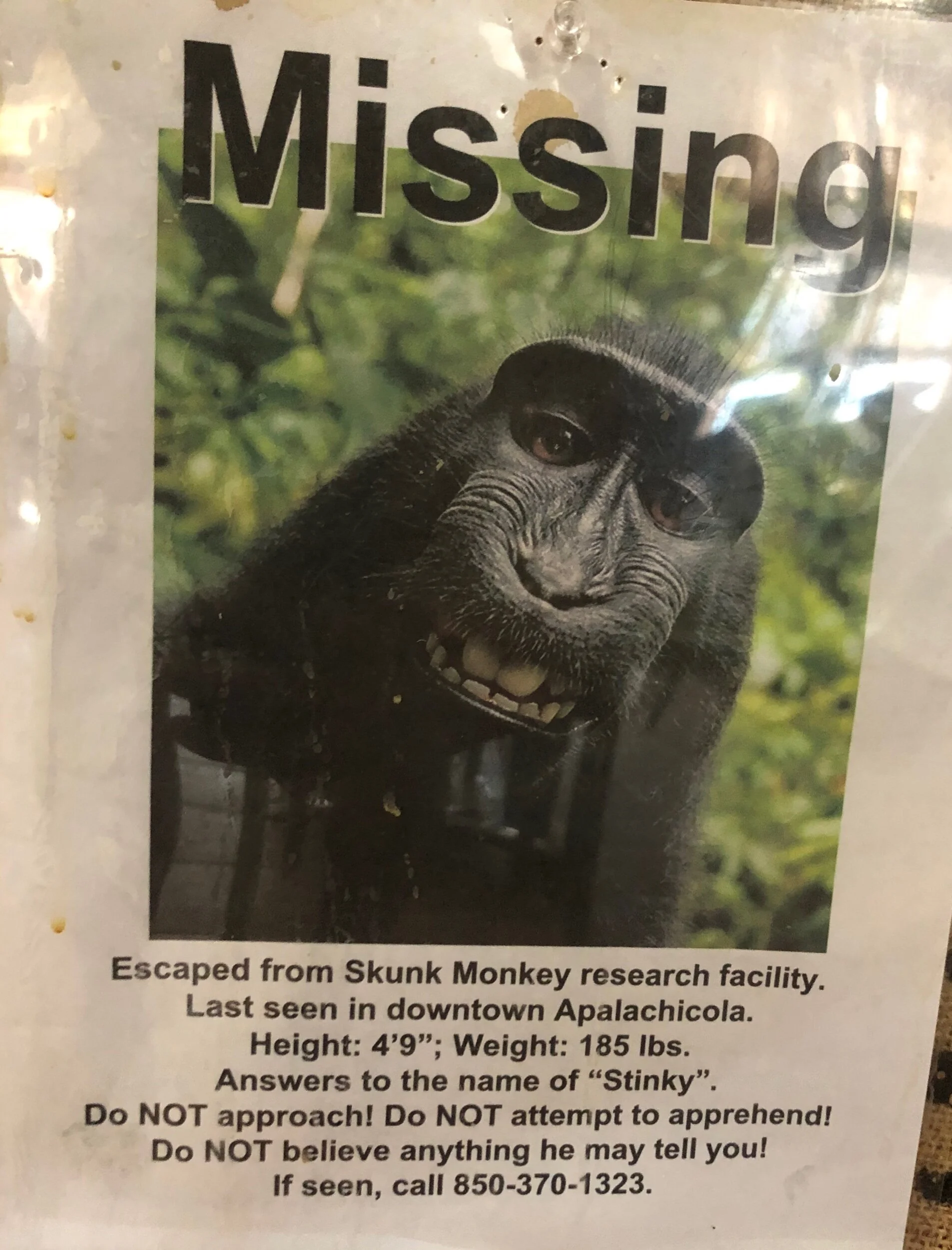 Apparently this guy escaped during hurricane Michael and has never been found. After reading about the research facility I’m hoping he has made a permanent escape!