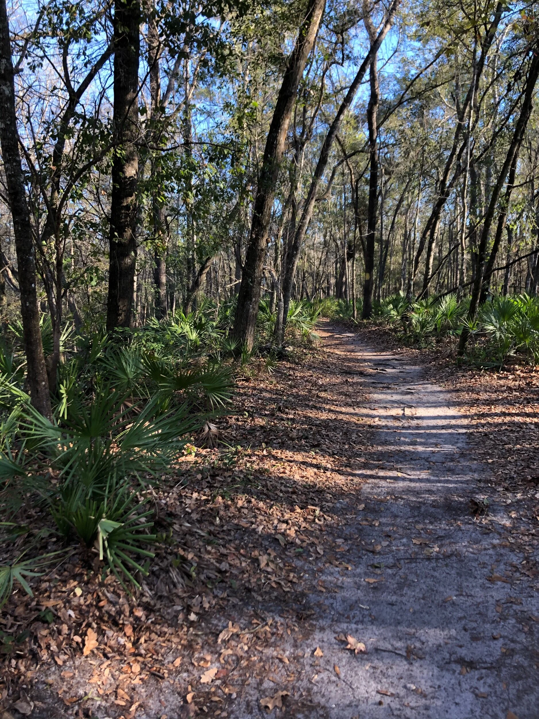 The awesome trails…