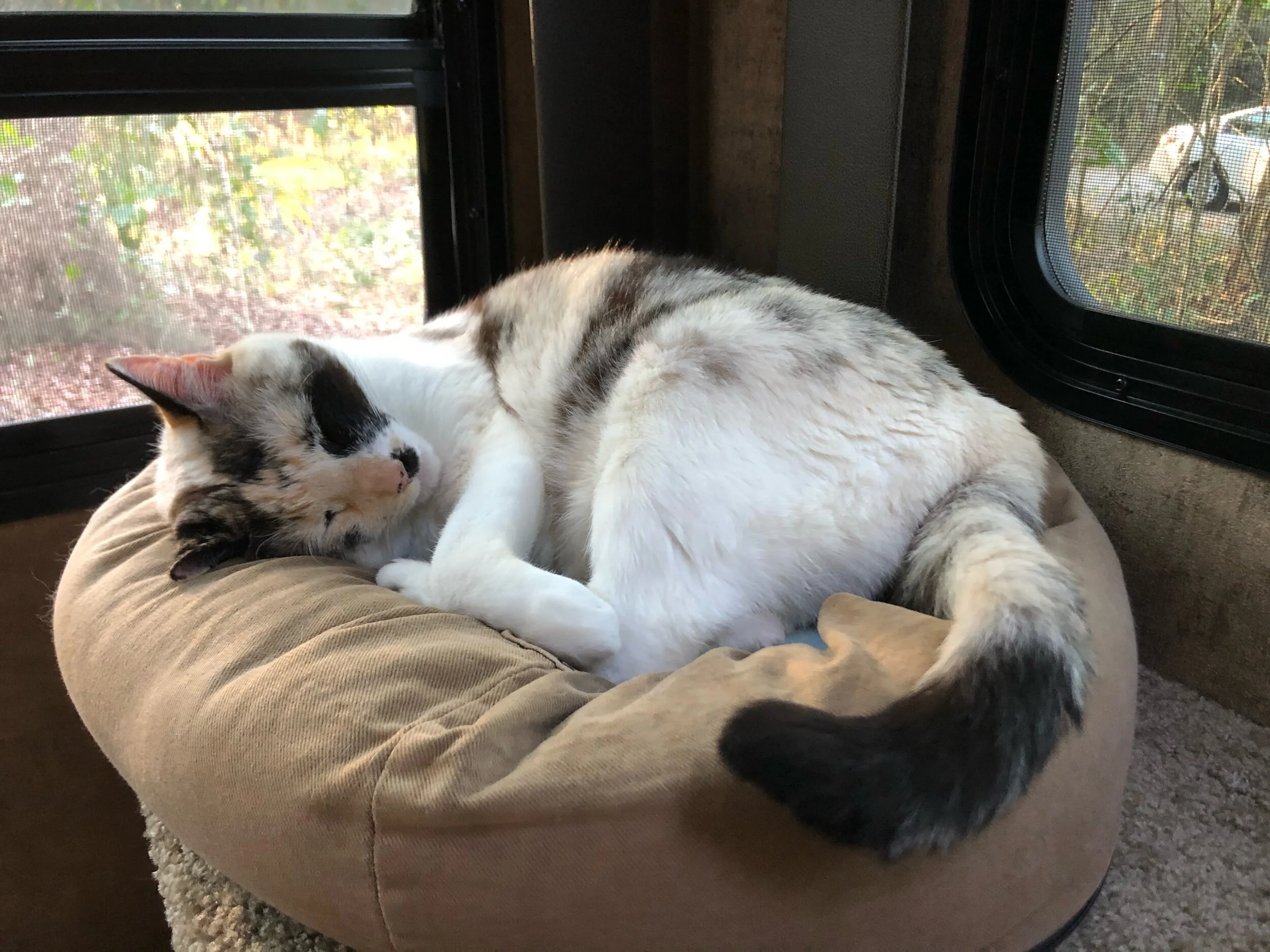 Someone didn’t get the message: if you snooze you lose.