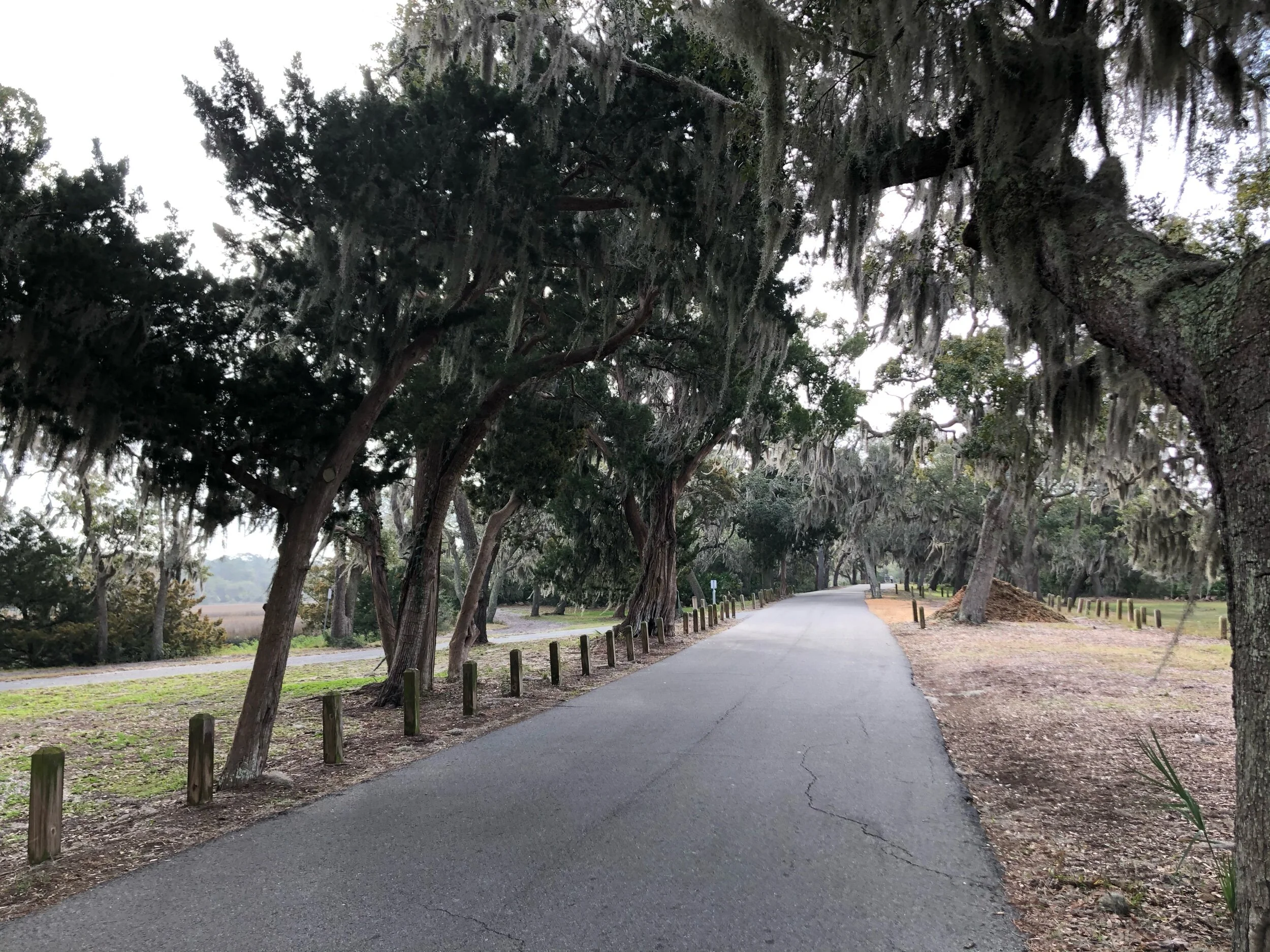 Bike path.