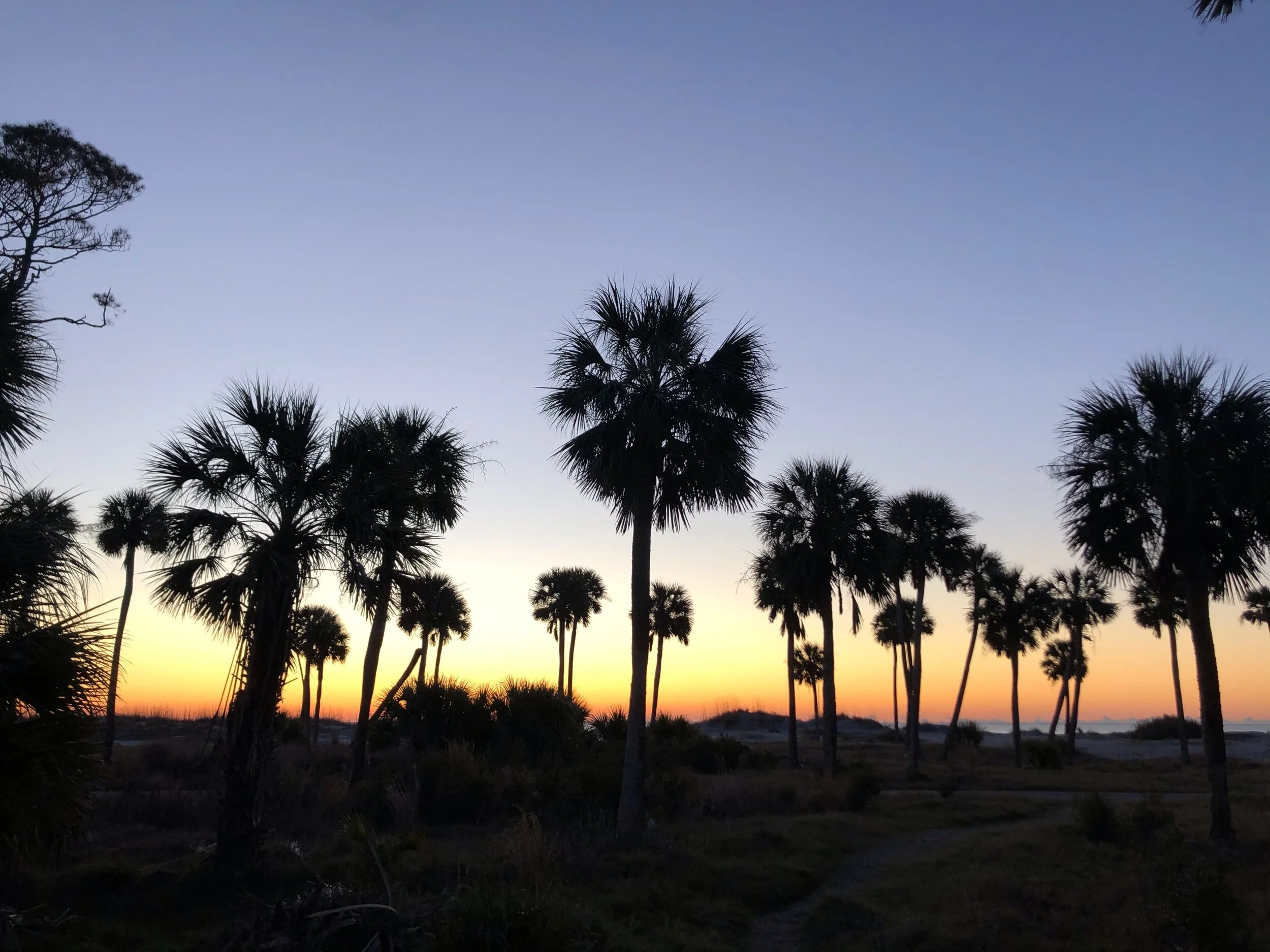 Hunting Island