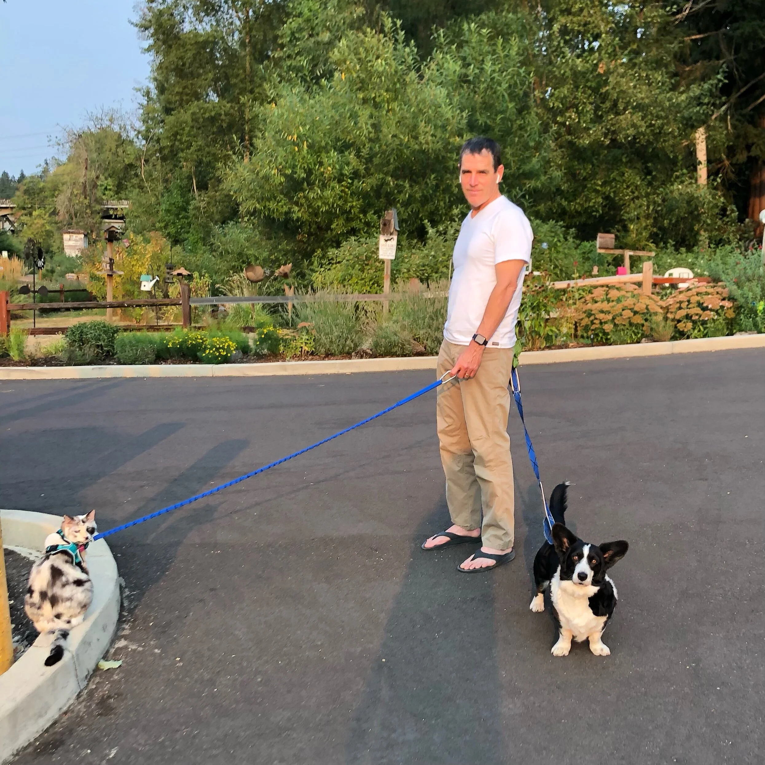 Every evening after dinner we take a family walk. Can you guess who controls the pace?