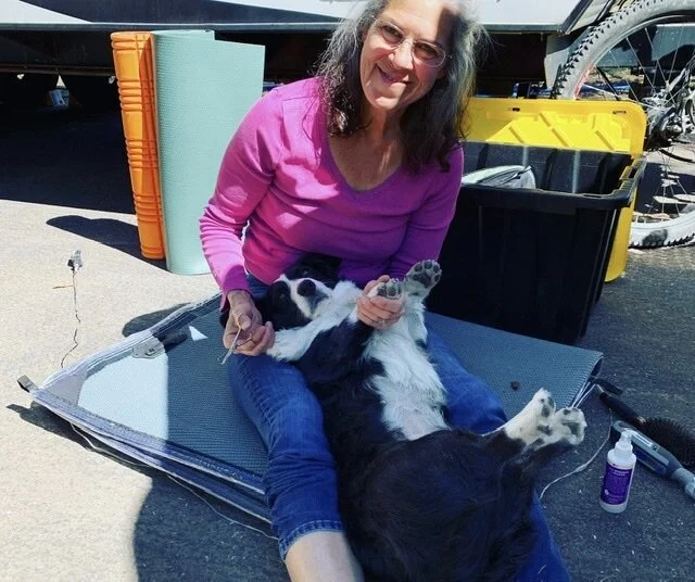 Dory getting a pawdicure. (No, not torturing her…she gets lots of treats during and after!)