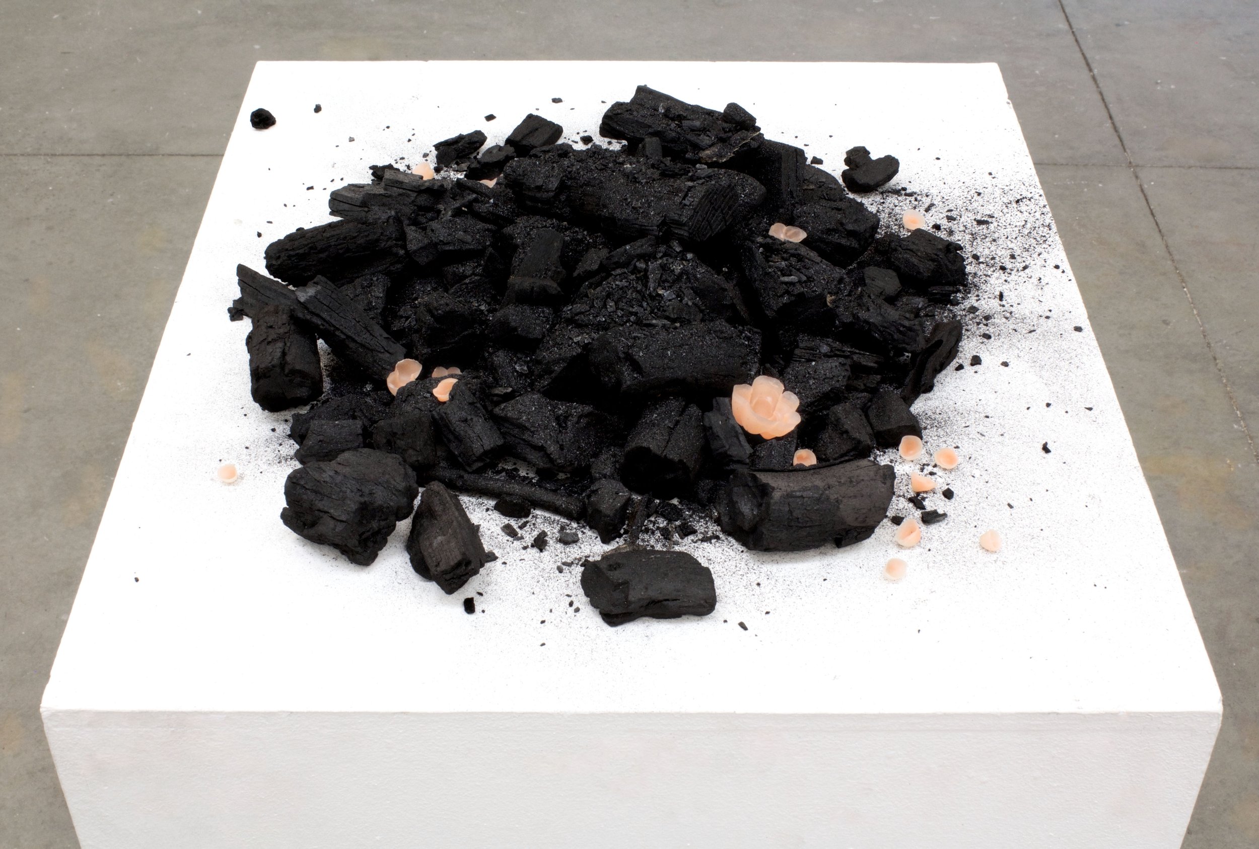 Whatever returns from oblivion returns to find a voice (charcoal installation)