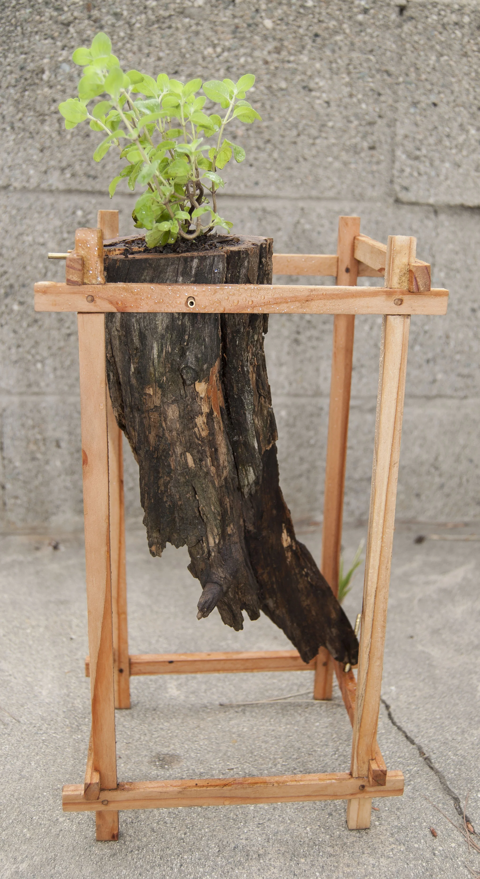 cebece©-planter-01.jpg