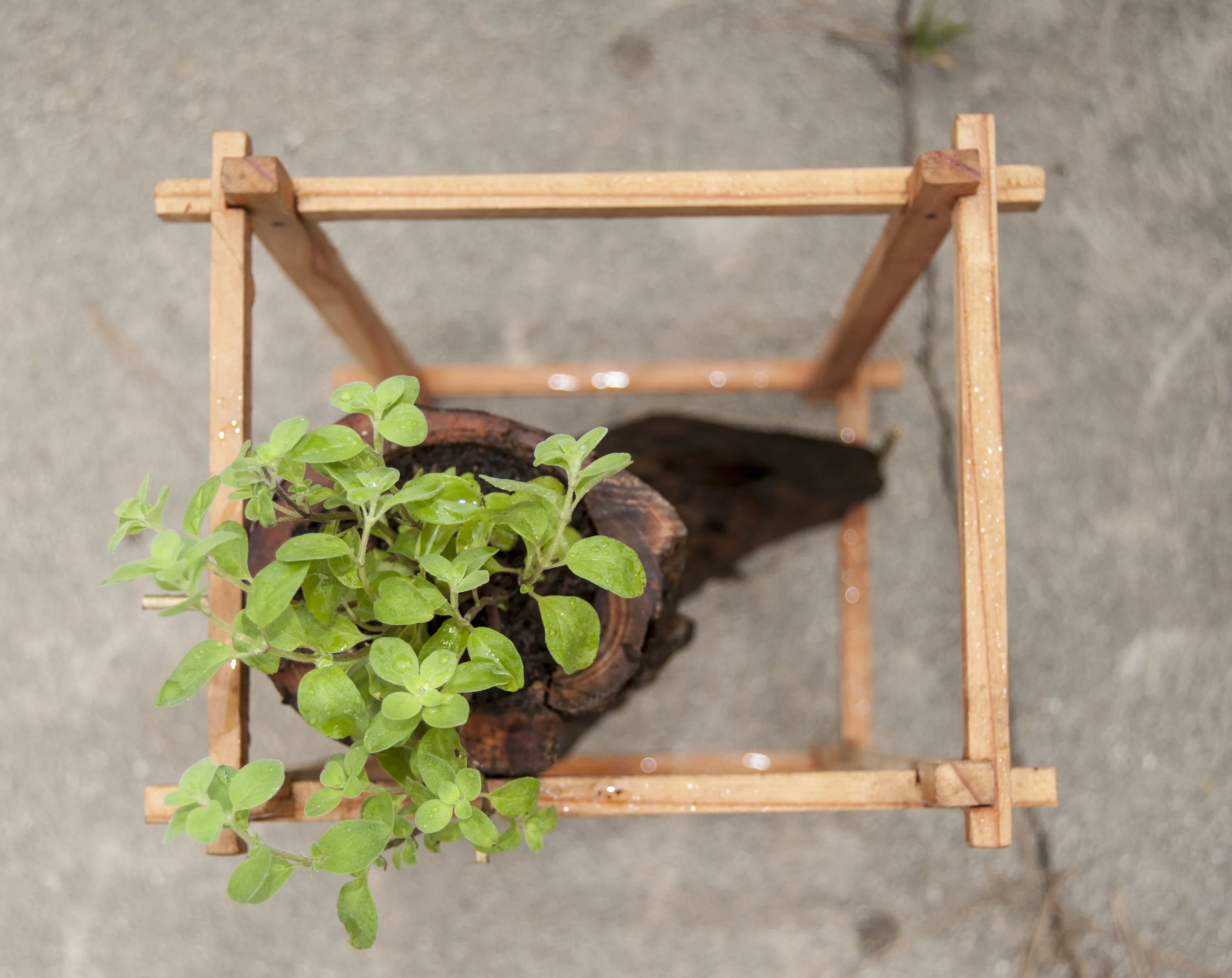 cebece©-planter-02.jpg