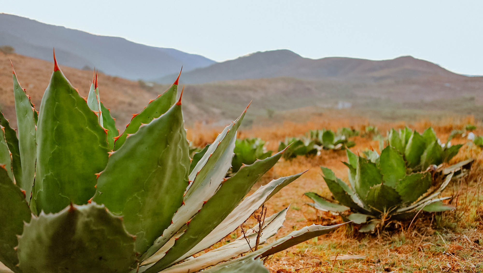 Guerrero-paisaje.jpg