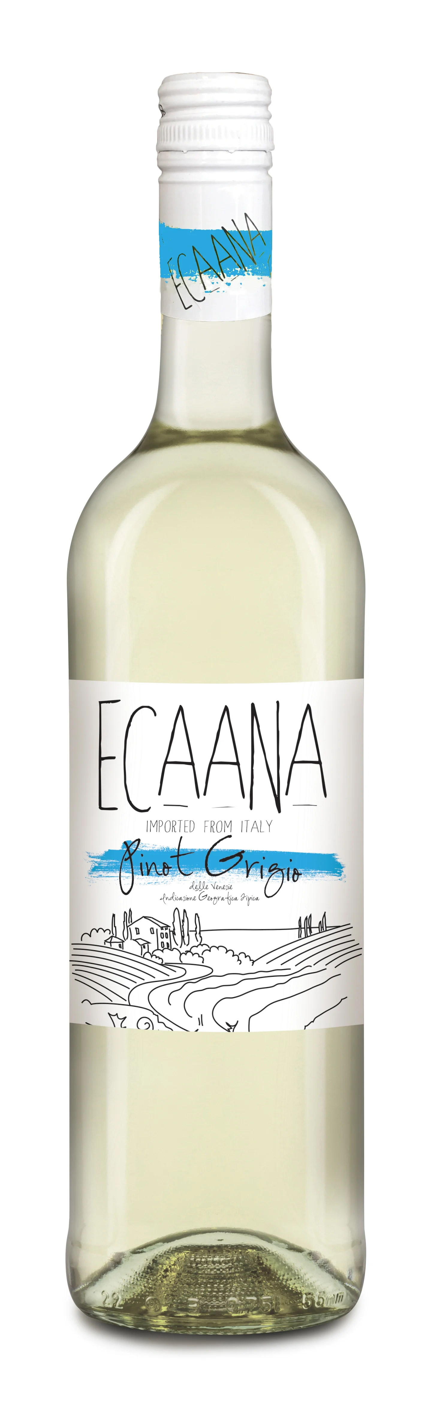 ECAANA pinot grigio NEW.jpg