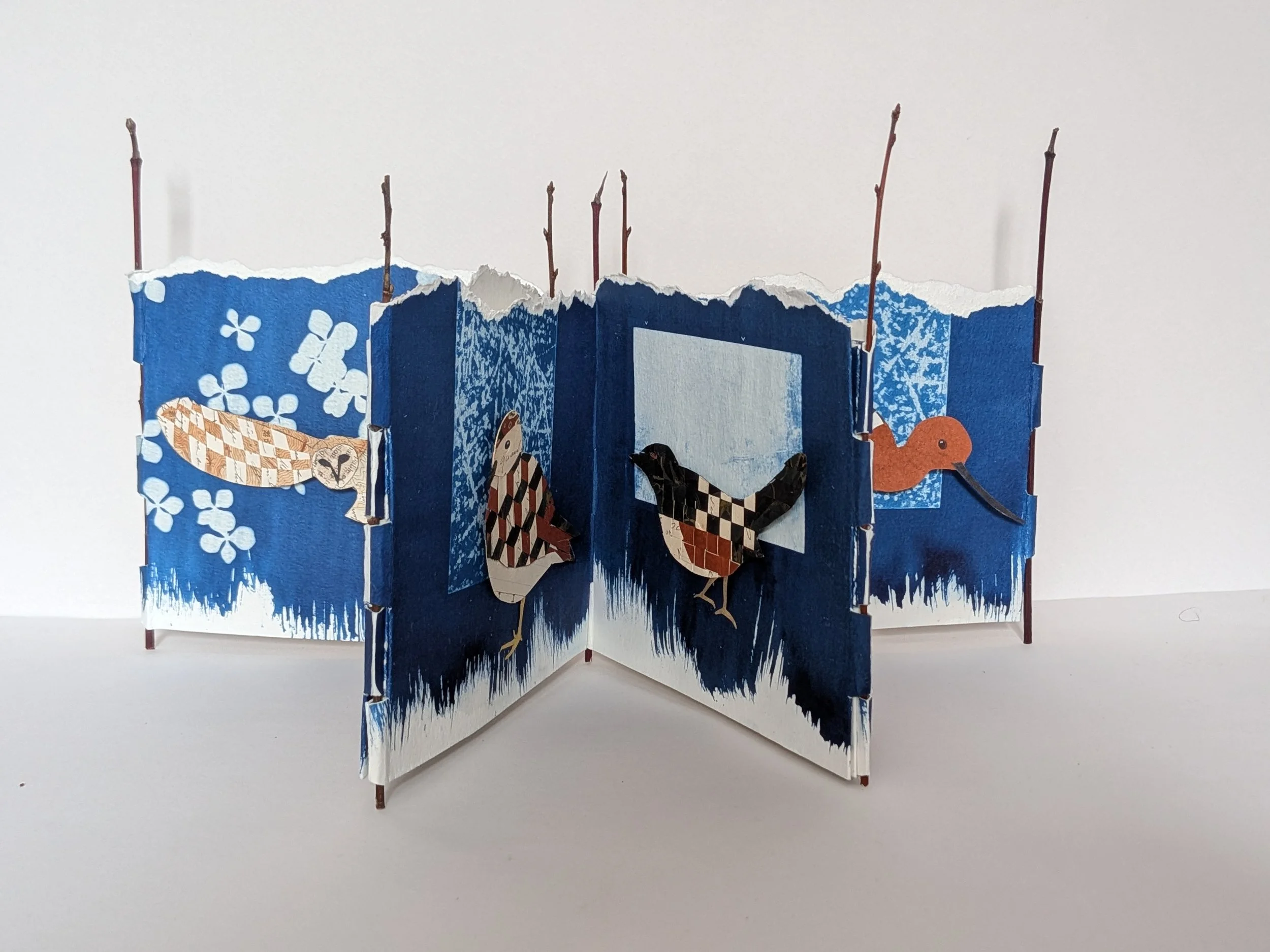 PXL_20260316_224103279 (1).jpg