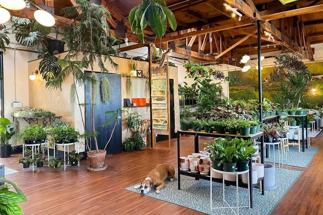 Film Processing — Phoenix Film Revival