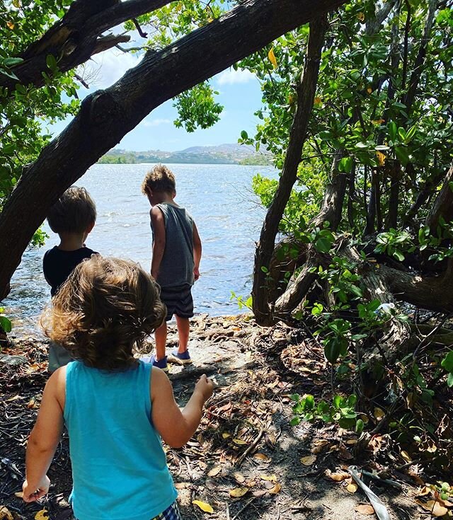 Life is slowly getting back to normal here in the USVI. It was a breath of fresh air enjoying outdoor time with friends again at the lagoon. It was the first time I let Orion play with other children freely in over 3 months. And damn, it felt good.
.