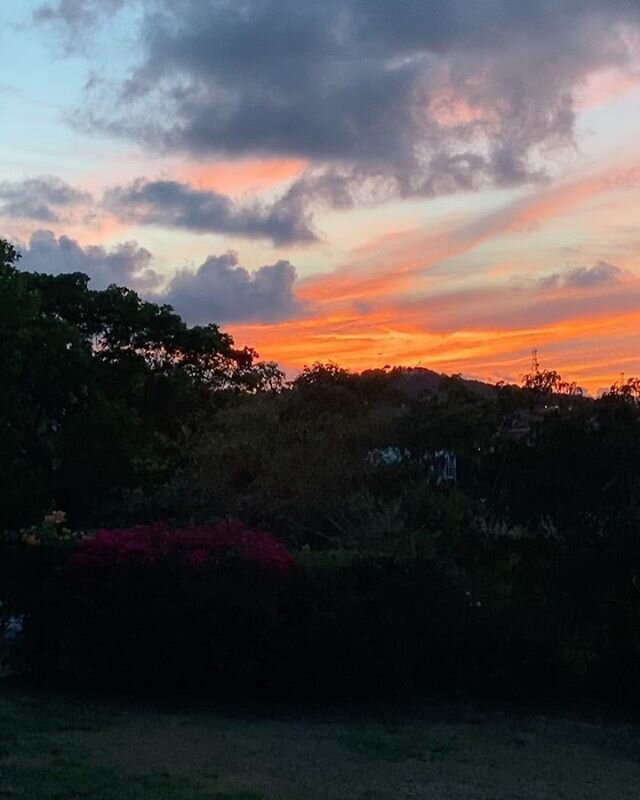 The sky the last two nights were breathtaking. This island knows how to create a sunset that&rsquo;s for sure. .
.
So blessed to be alive to Witness this.
. .
Did you watch the sun set tonight in your neck of the woods?