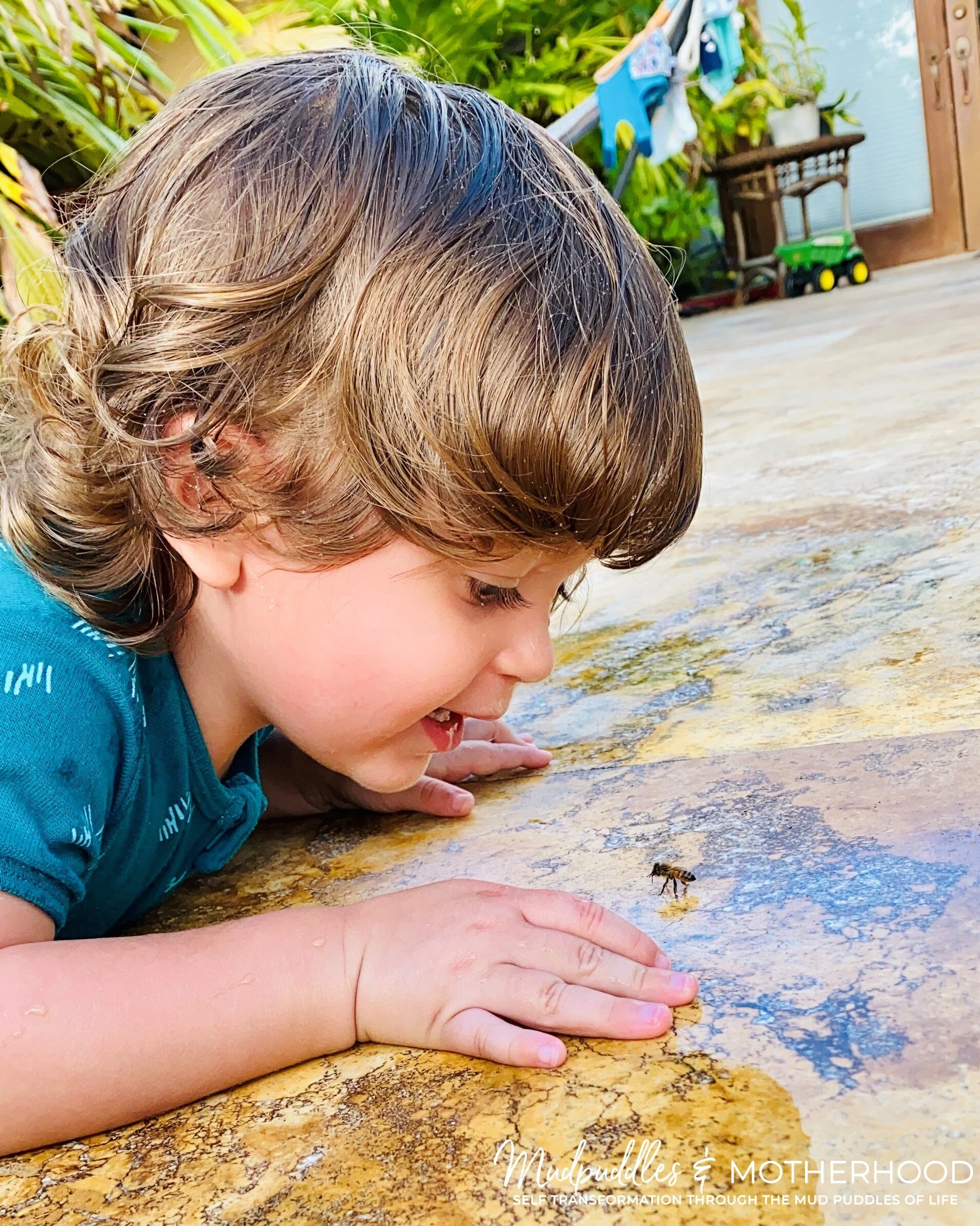Bees Blog Mud Puddles Motherhood