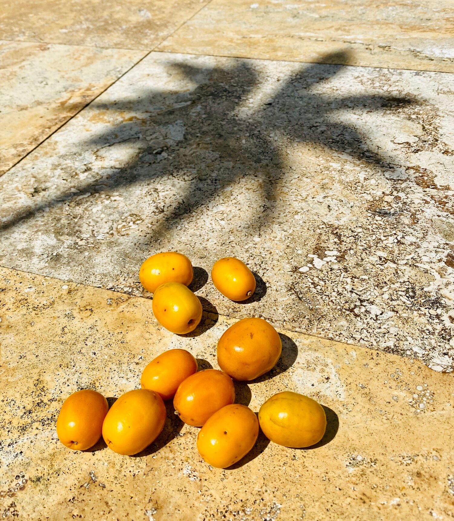 How to Enjoy a Crucian Plum