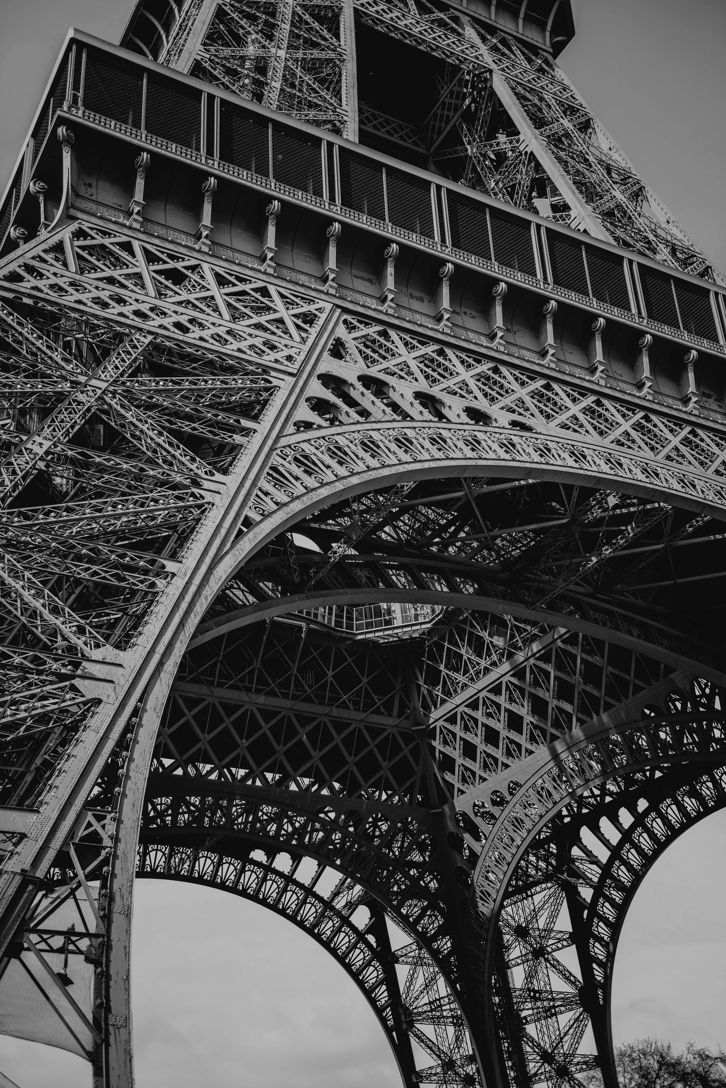 DSC_7992BW.jpg