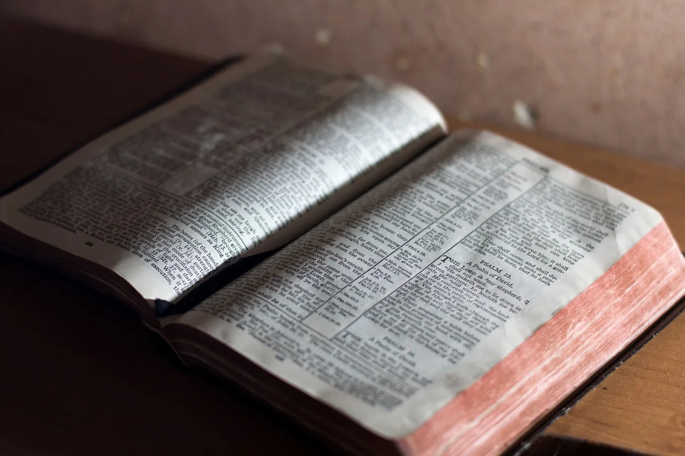 Sabbath Services with Live-stream Available