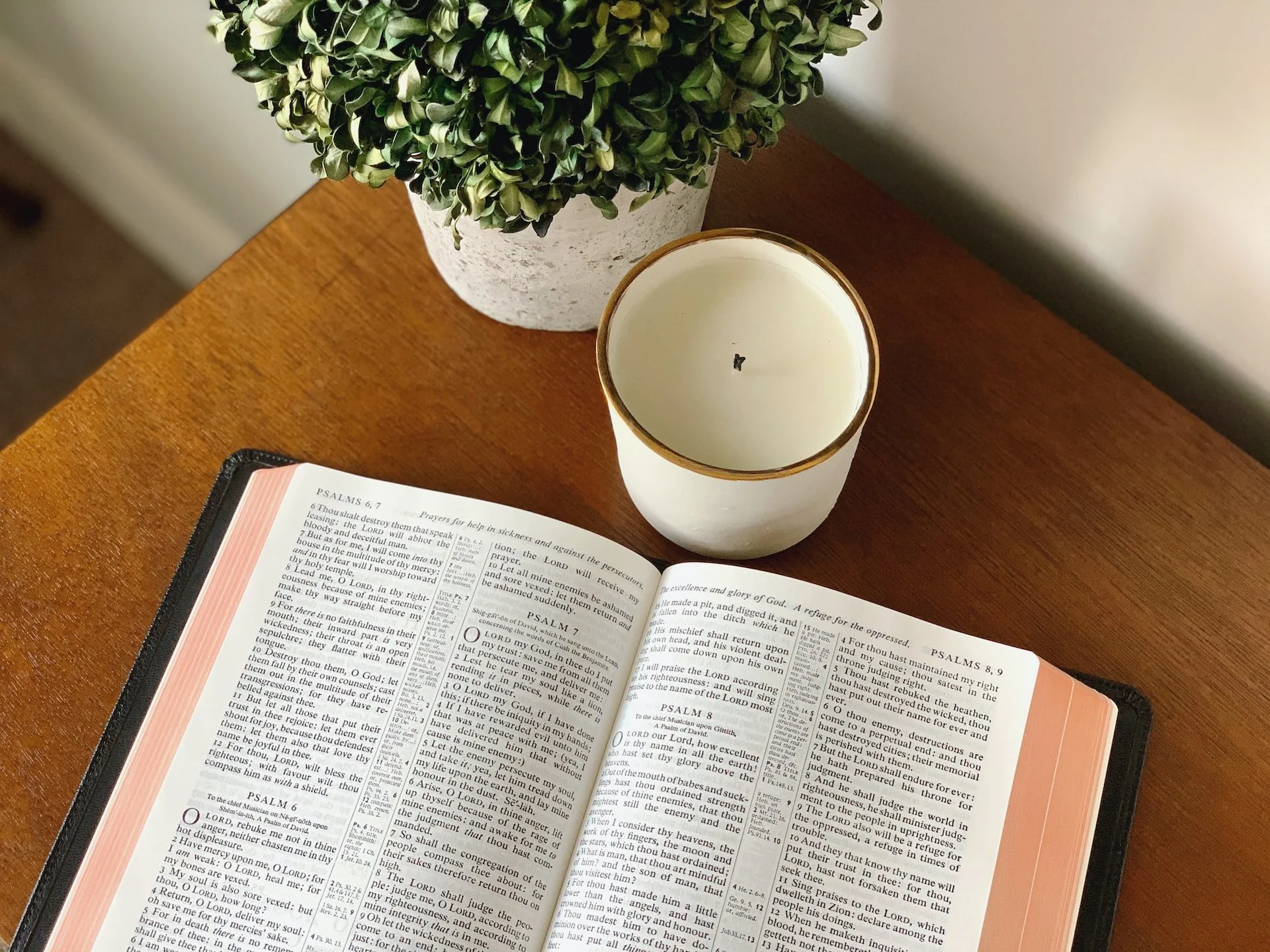 Sabbath Services with Live-stream Available