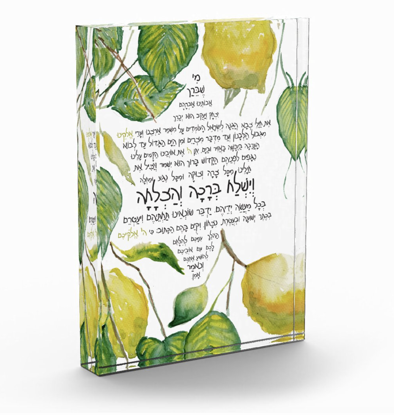 Citron (Esrog) Tehillim For Our Soldiers