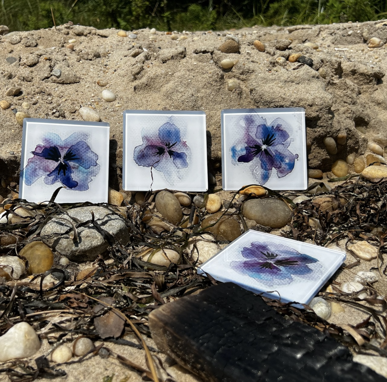 Screen Shot 2024-09-01 at 8.21.15 PM.png