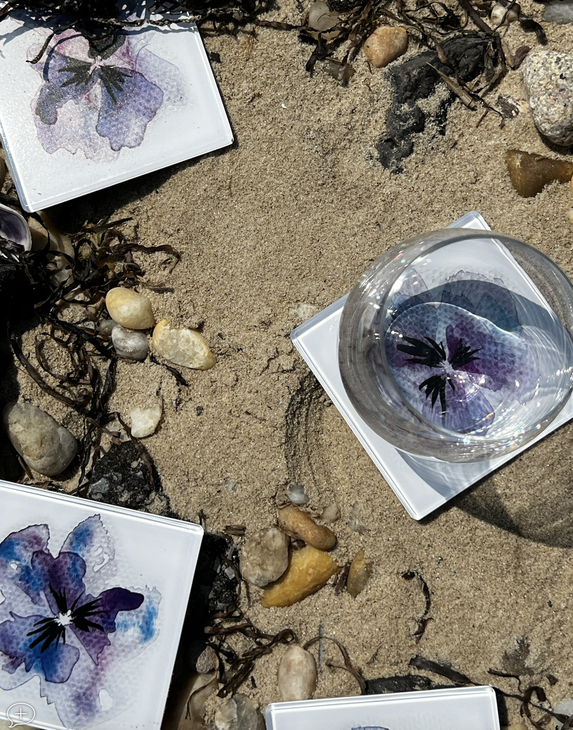 Screen Shot 2024-09-01 at 8.22.22 PM.png