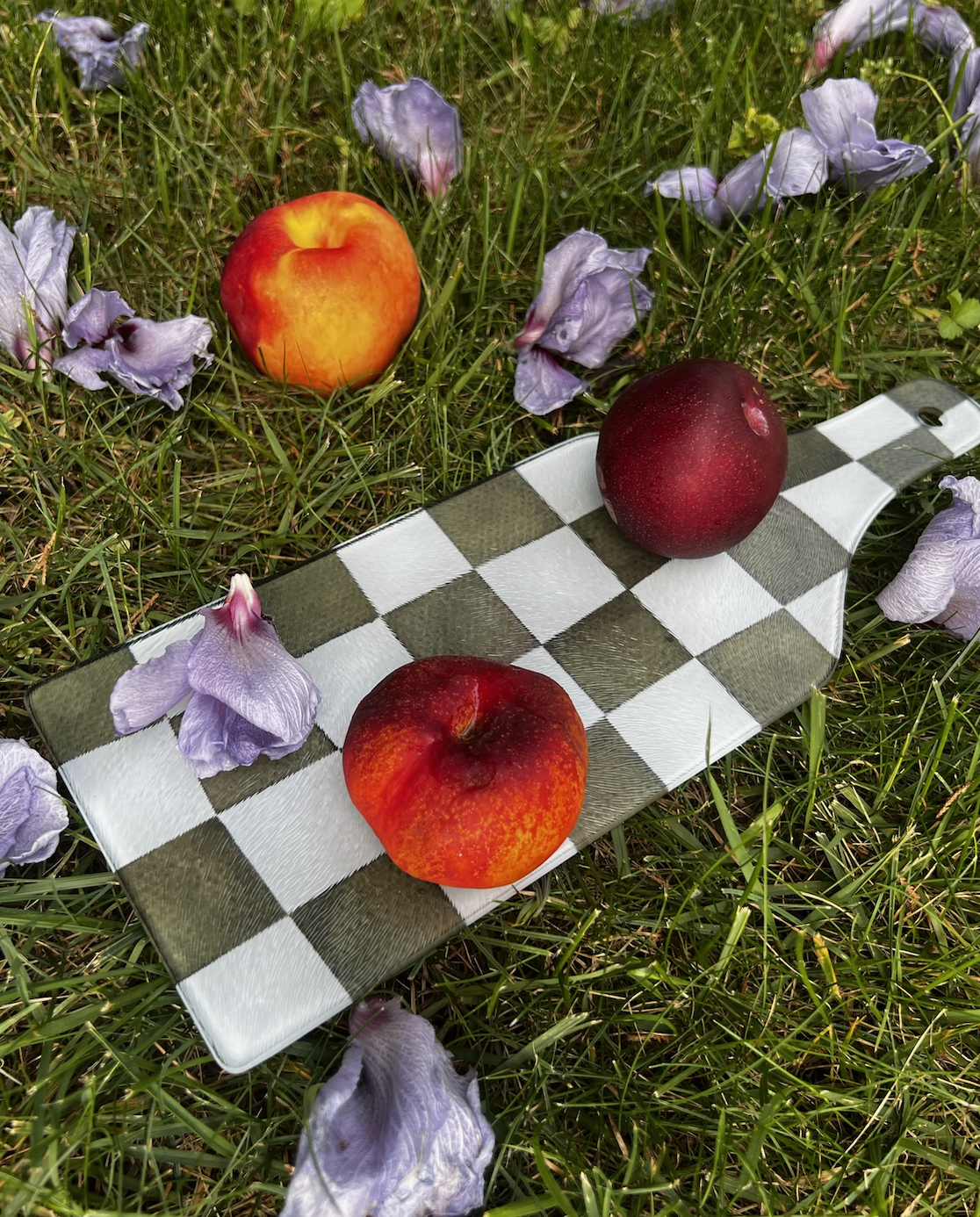 Screen Shot 2024-09-01 at 8.23.38 PM.png