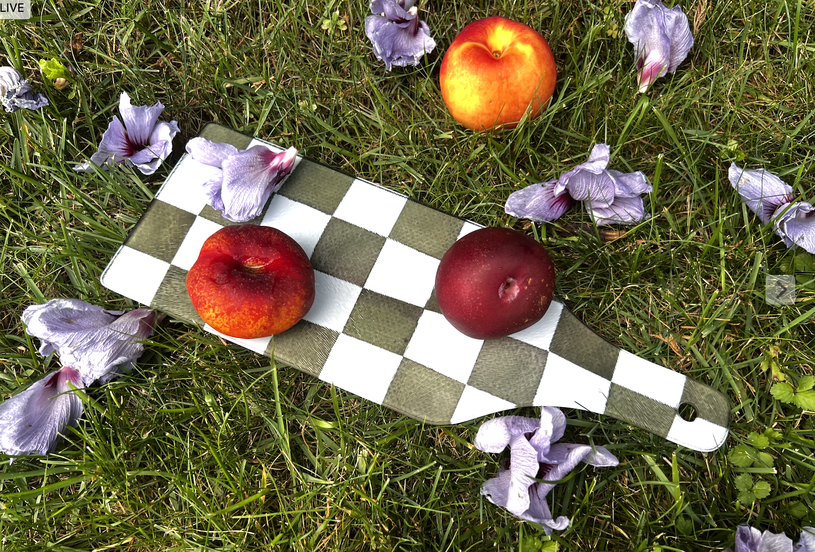 Screenshot 2026-01-26 at 8.02.35 PM.png