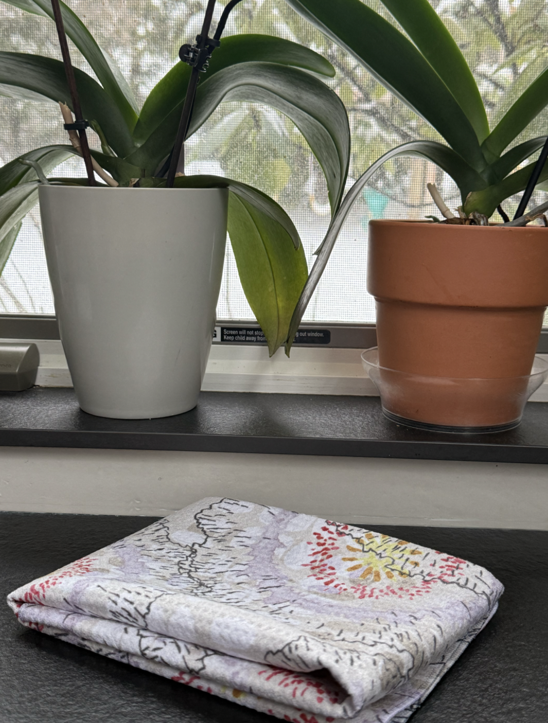 Screenshot 2025-12-28 at 3.31.47 PM.png