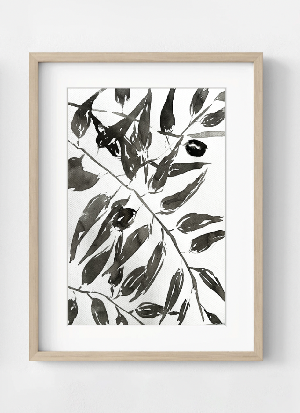 Olive Branch Fine Print