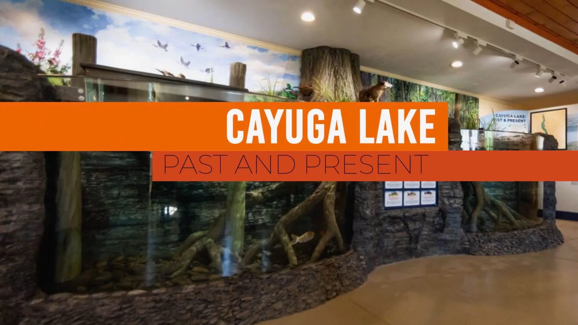 Cayuga Lake — Cayuga Nature Center