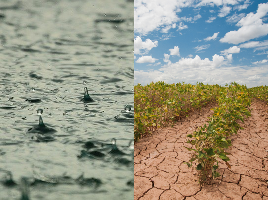 Photos: Roman Grac (Pixabay), Bob Nichols, USDA