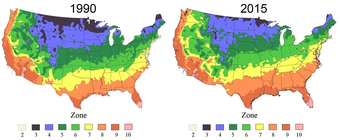 Comparison of plant hardiness zone maps from 1990 and 2015.  Image: Mass Audubon and USDA/Arbor Day Foundation