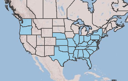 Kudzu range map, 2014  (light blue indicates presence of kudzu in a state)