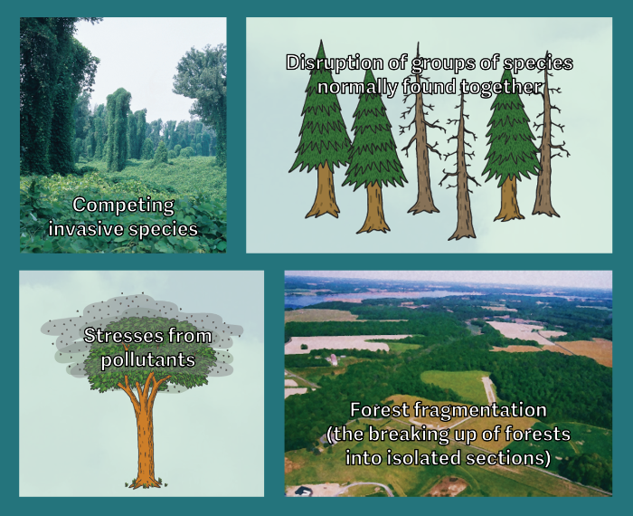 Stresses from pollutants