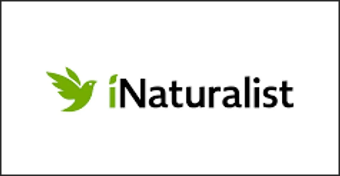 community-science-bioblitz.jpg