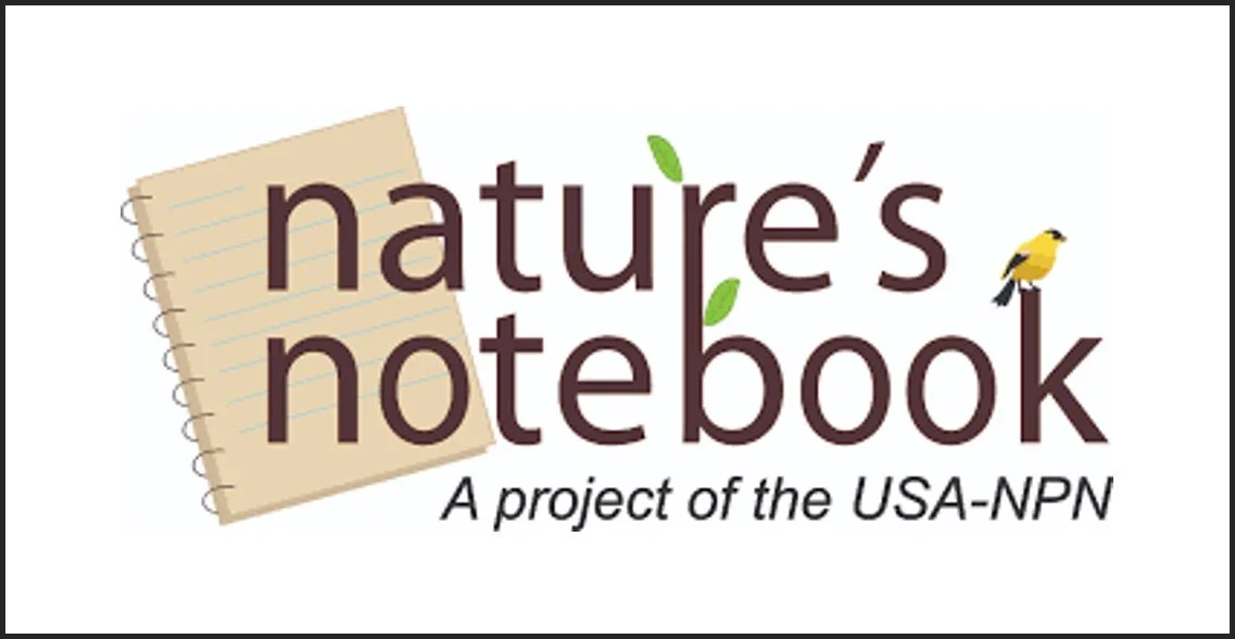 community-science-phenology.jpg