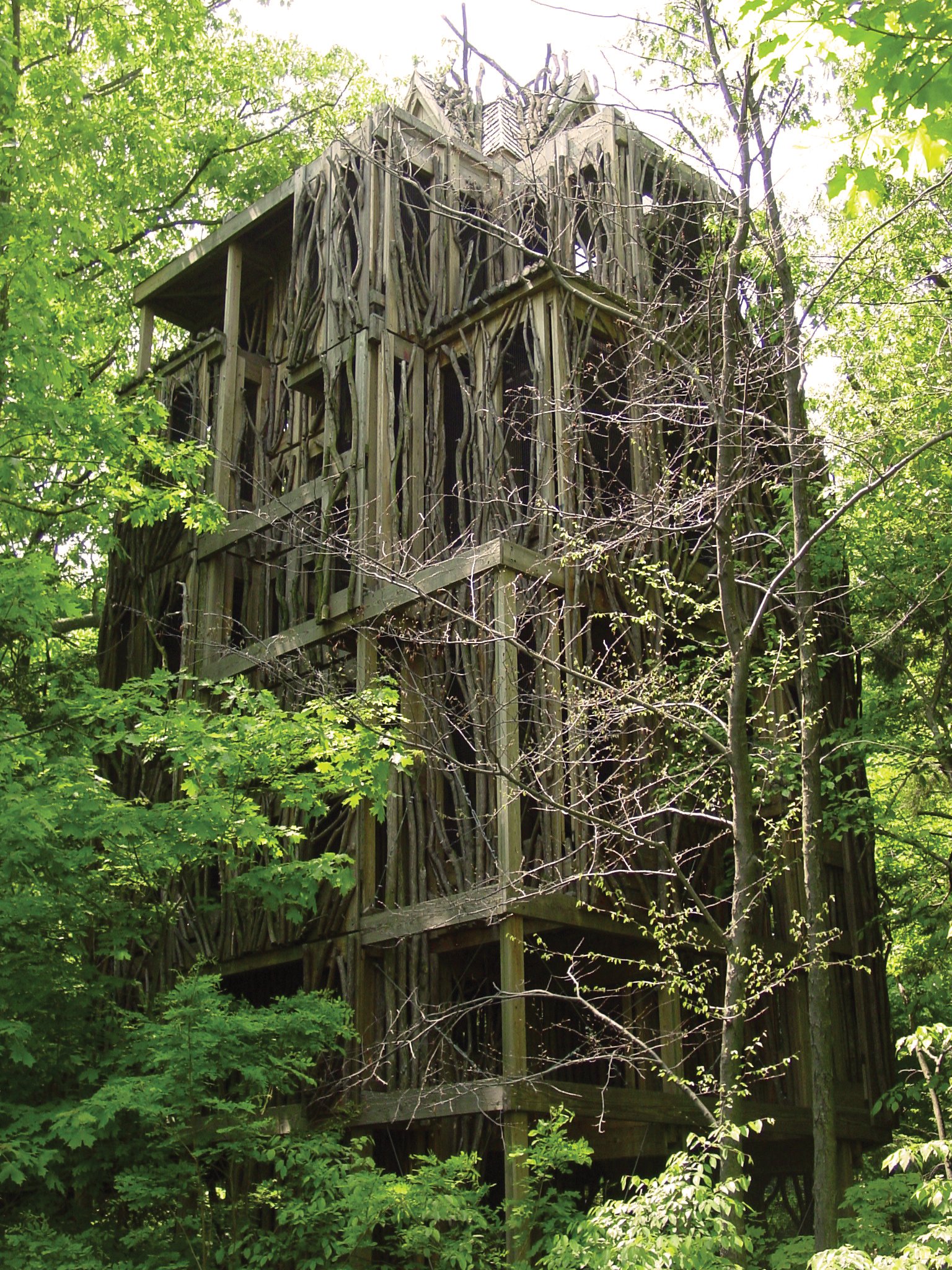 CayugaNatureCenter-TreeHouse.jpg